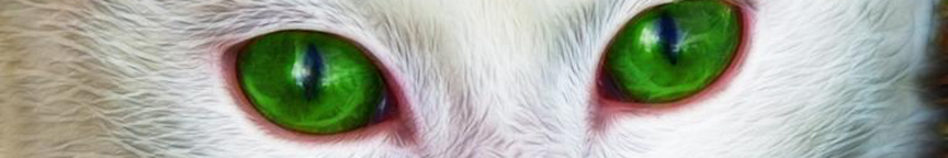 Drawing of a cat's eyes